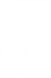 Baumkonzept GmbH Baumkonzept GmbH